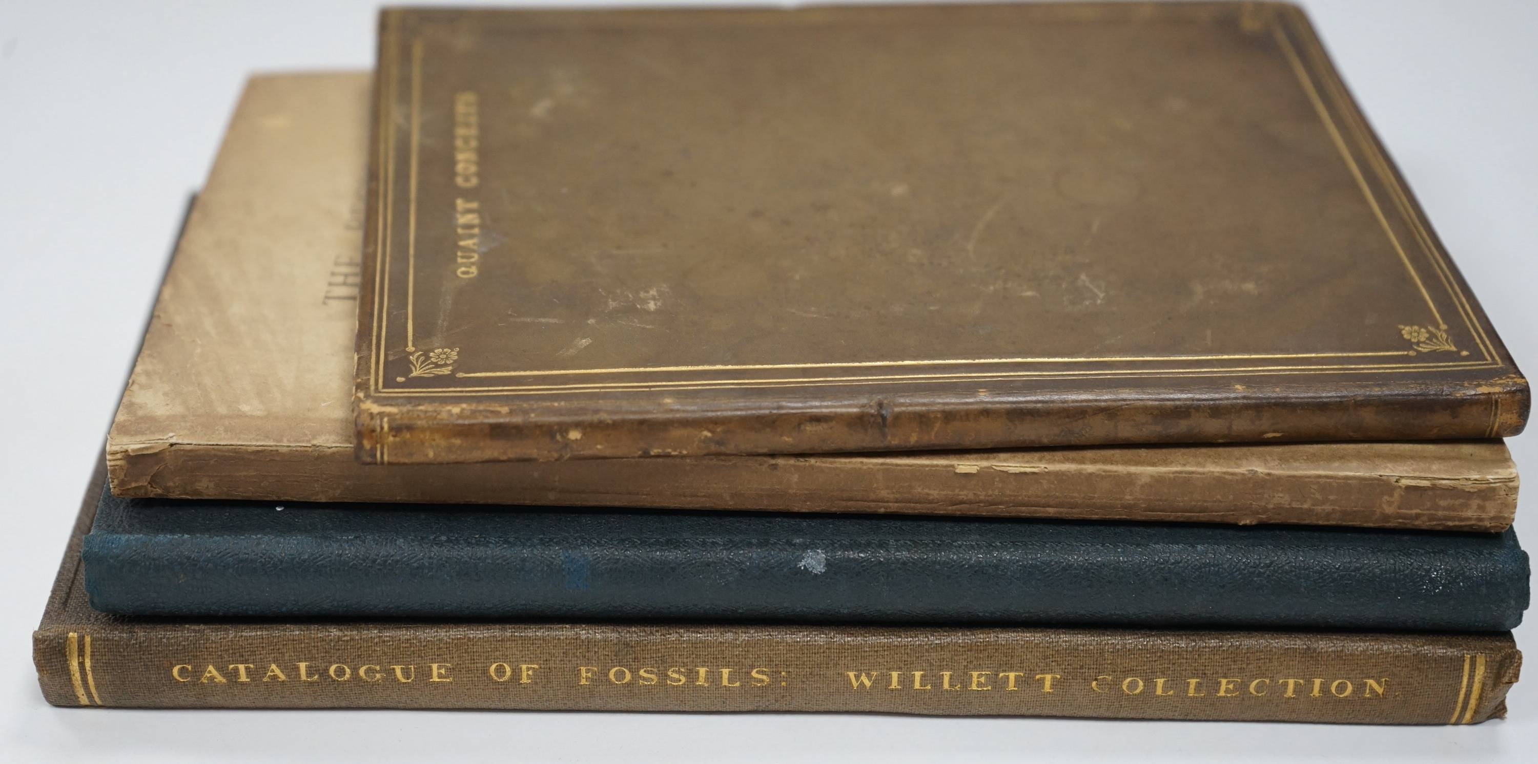 [Sussex Interest] Willett, Henry. - Catalogue of the Cretaceous Fossils in the Brighton Museum, 1871; The Record of the Sub-Wealden Exploration, Brighton 1878; Bethnal Green Museum - Catalogue of the Pottery and Porcelai